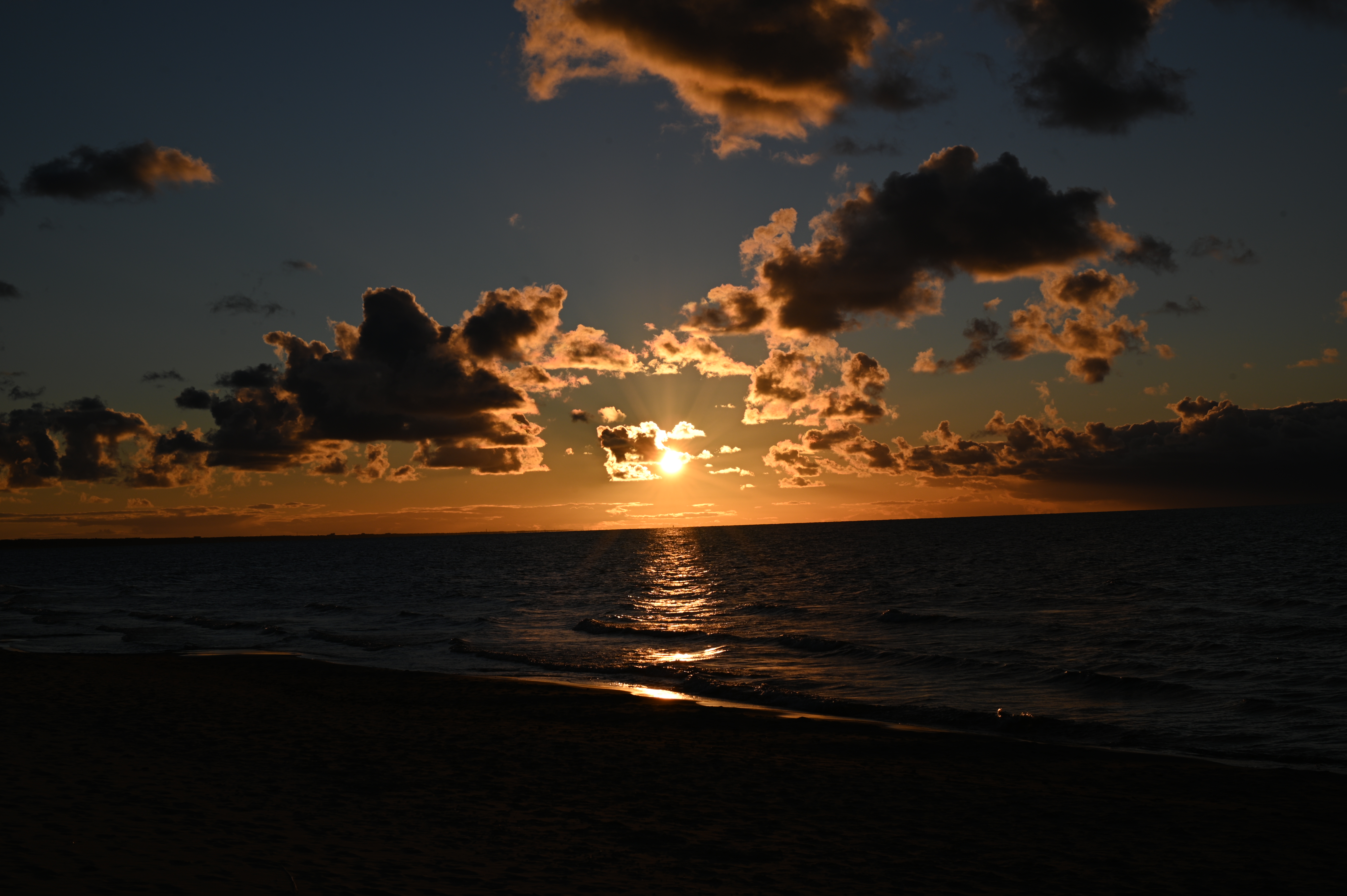 2025/10/18 - walk/DSC_0349.JPG